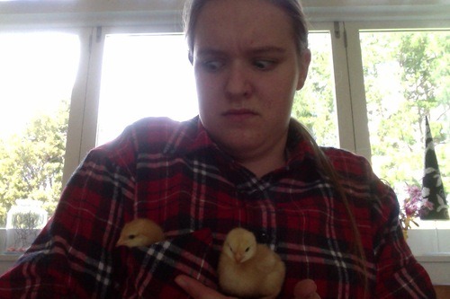 plaideangel:  plaideangel:  thewifeofloki:  what the hell do you mean chicks don’t like plaid  this one does  oh shit  wHAT   CHICKS REALLY LIKE PLAID WATCH OUT   chick magnet  WHICH ONE OF YOU DICKHEADS BROUGHT THIS BACK JUST WHEN I THOUGHT IT HAD