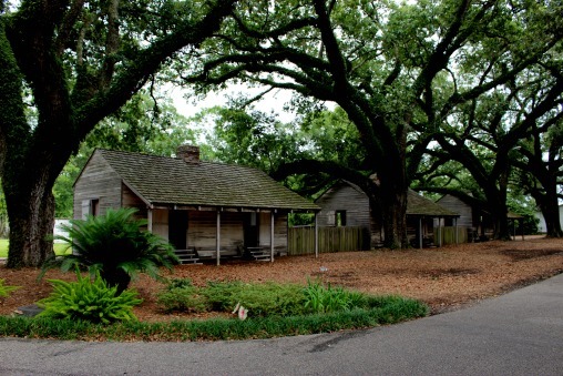 theycallhernu: nymphiinyxxxii7:   prettyandmean:   mrletmeindeep:   yourlocalforeign:   kimreesesdaughter:   kimreesesdaughter:  purplechocolatekisses:   kimreesesdaughter:  I just left a plantation tour in Louisiana. I have a lot to say…  SAY IT! 