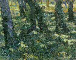 dappledwithshadow:  Vincent van GoghUndergrowth1887