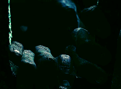  A Lord of the Rings appreciation post part 12 out of ??? 