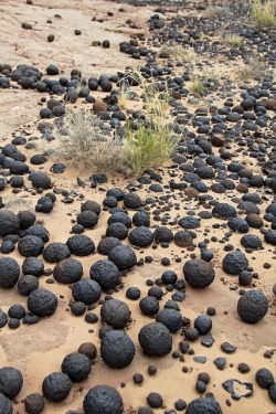 Moqui marbles, utah Iron oxide concretions (Moqui marbles) Moqui Marbles, hematite concretions, from the Navajo Sandstone of southeast Utah. The Navajo Sandstone is also well known among rockhounds for its hundreds of thousands of iron oxide concretions