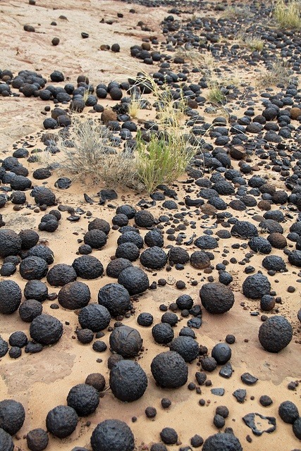 Moqui marbles, utah Iron oxide concretions porn pictures