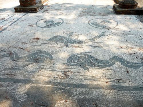 romegreeceart:Ostia Antia - Square of the Corporations mosaicsThe square was built in the early Augu