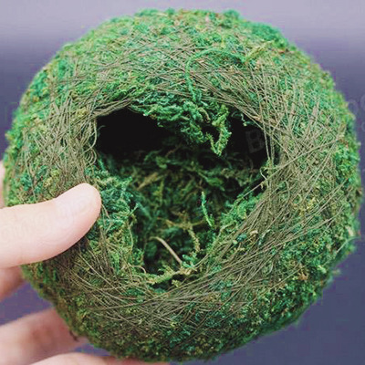 Dry Moss Planting Ball Hydrating Flowerpot Visit  Banggood 10th Anniversary for many amazing ev