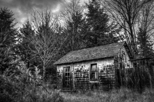 sixpenceee:  THE PORTRAITS A classic creepy story There was a hunter in the woods, who, after a long day hunting, was in the middle of an immense forest. It was getting dark, and having lost his bearings, he decided to head in one direction until he was