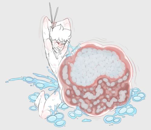 1000 posts calls for 1000 eggs