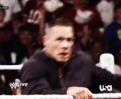 Orton/Cena