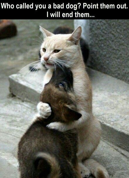 sweet-submissive-one: Made me smile this morning