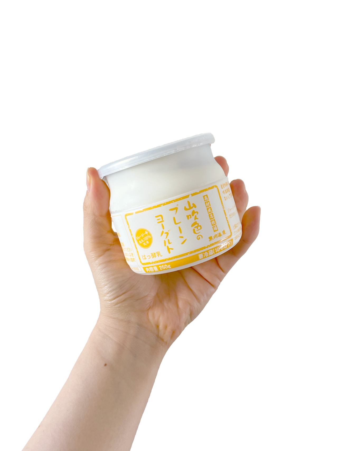 Yoghurt 山吹色のプレーンヨーグルト 山のいぶきさんのヨーグルト めっちゃお久しぶり 山のいぶき