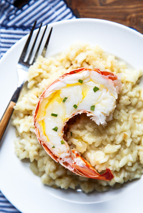 Lobster