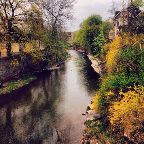 Cloudy spring day view outside my house ⛅️ #Ithaca #idontwanttoleave