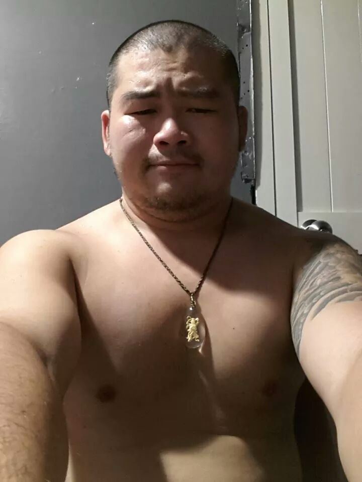 Asia bear
