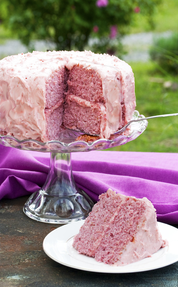 alloftheveganfood:  Vegan Cake Round Up Vegan Vanilla Cake Vegan Avocado Chocolate