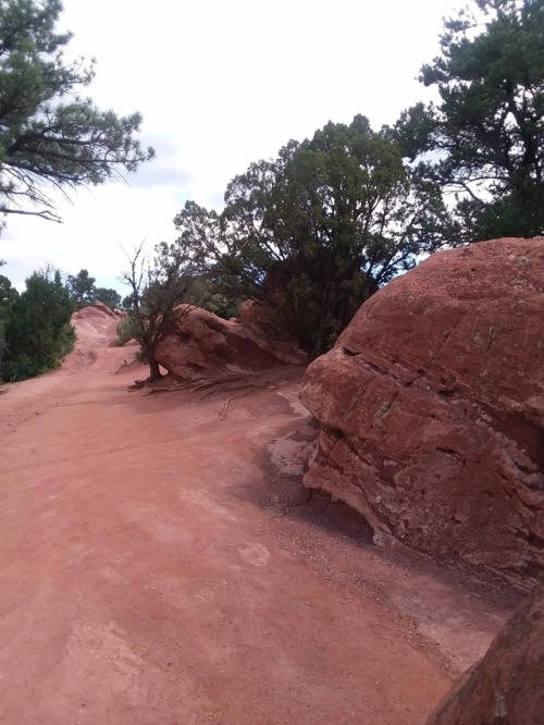 child-of-the-renaissance:Garden of the Gods