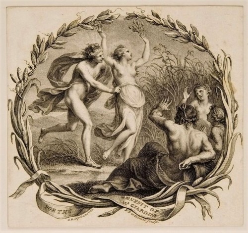 enchantedbook:Apollo &amp; Daphne, 18th c.Francesco Bartolozzi