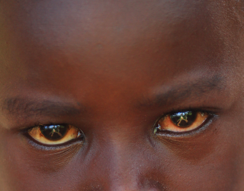 indoafrican:    ㅤㅤㅤㅤㅤㅤ  
