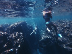 i-doughnutcare:  Nu'lolo Kai diving.