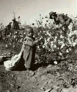 dmc-dmc:  blackinamerica:  cleophatracominatya:  silentnefertiti:  thechubbygardevoir:  darvinasafo:  America was never great.  I never know they had TODDLERS picking cotton holy shit  Who are the savages ?!?  👆🏾  Yes the children were slaves too.