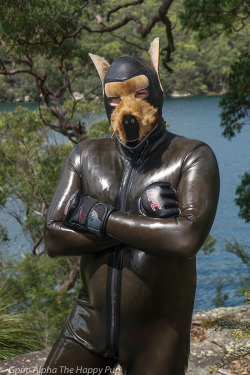 Woof! Love a sexy rubber pup. (more pup play gear here!)