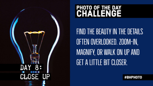 31 Day Photo Challenge, Week 2