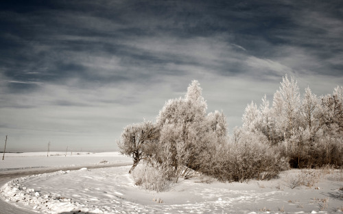 Latvia 