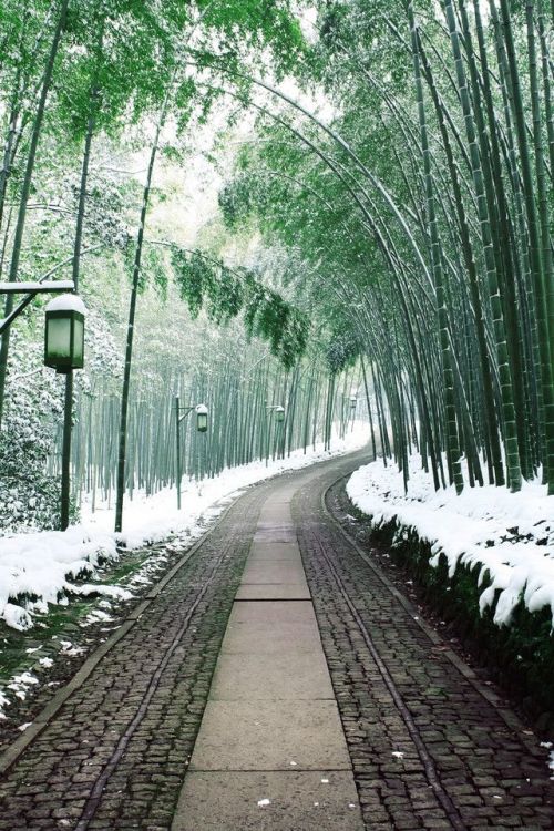 mrcloudphotography:  source | 1 | 2 | 3 | 4 | 5 | 6 | 7 | 8 | 9 | MY TUMBLR BLOG | Winter World. Famous places around the world with a sprinkle of snow. 