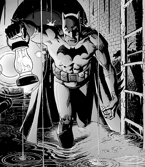 thedogknight - The Dog Knight