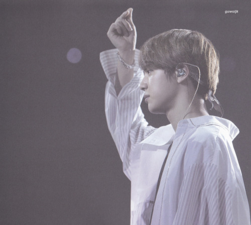 The Wings Tour The Final