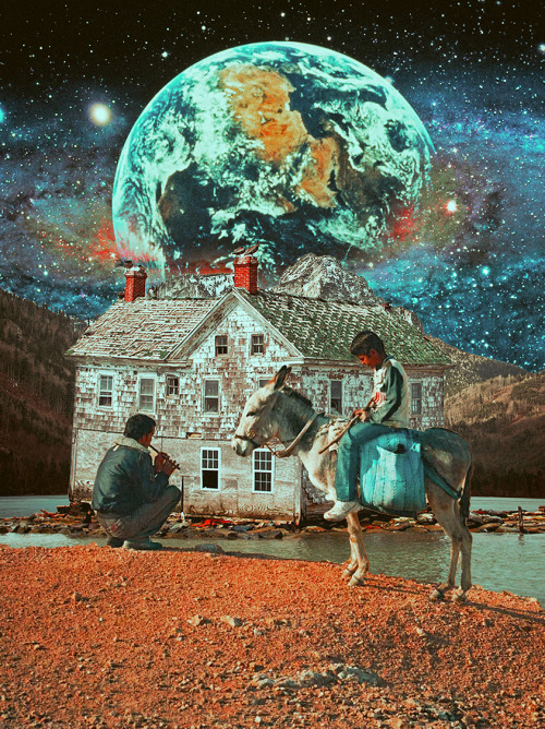 ayhamjabr:Harmony Of Life. Surreal Mixed Media Collage Art By Ayham Jabr. Instagram-Facebook 