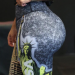 :Tahiry Jose