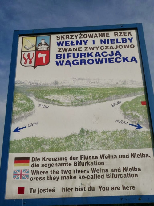 Welna and Nielba river bifurcation in Wagrowiec, Poland