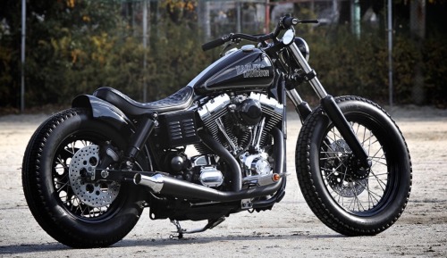 Black Americana , Immaculate Dyna