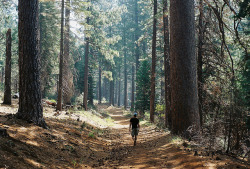 nmsxs:  untitled by rachel duffy on Flickr. 