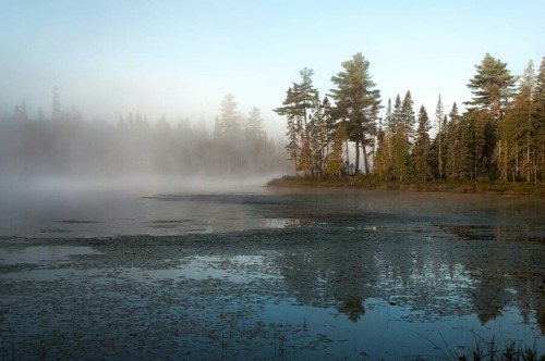 A misty morning #Canada #wildcamping #photography #outdoorscanada #outdoors #outdoorworld #wildernes