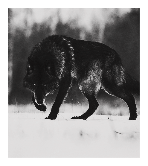 «Many loved him as a refined and clever and interesting man, and were horrified and disappointed whe