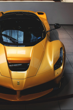 exclusive-pleasure:  LaFerrari 