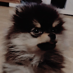 planetaryedits: yeontan   •̀ㅅ•́   !! please do not repost !