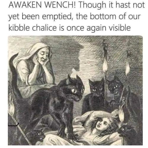 Painfully relatable.  ‍⬛‍⬛ . . . Via @weird_history  . . . #witch #Wiccan #witches #pagan #p