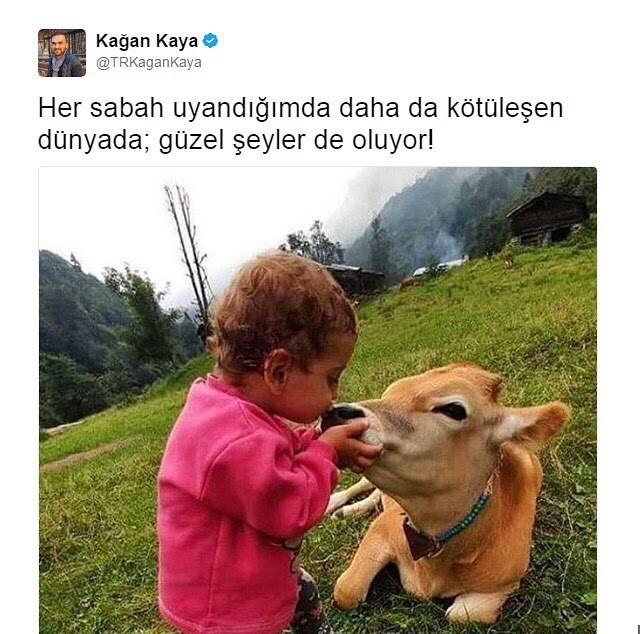 Her sabah uyandığımda daha...