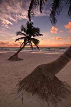 tect0nic:  Holidays Beach Style by Todd Wall