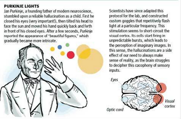 sixpenceee:  Here are some interesting brain phenomenons you can try out. Here’s