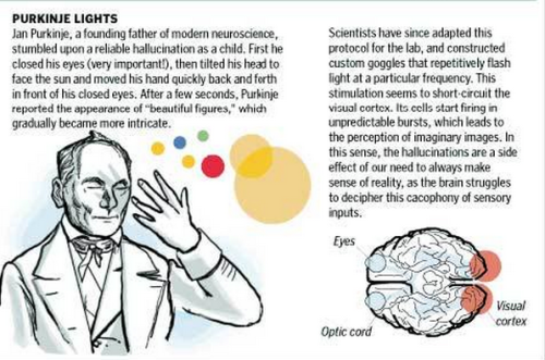 Sex sixpenceee:  Here are some interesting brain pictures