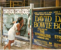 bowienewkillerstar: A girl kissing the posters