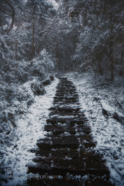 socialfoto:  The snowy path by HansonMao