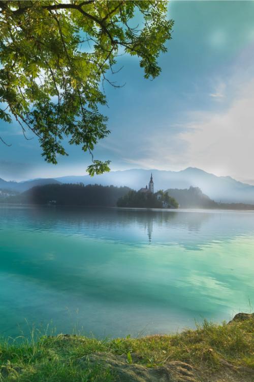 tulipnight: Once upon a time in Bled…by Nikoletta Koch