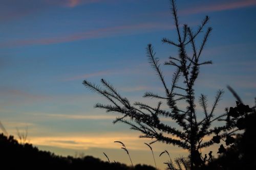 Soft scenes in the city. . . . . . #WIactivities #WiscoSports #Climbon#GetOutside #OutdoorLiving