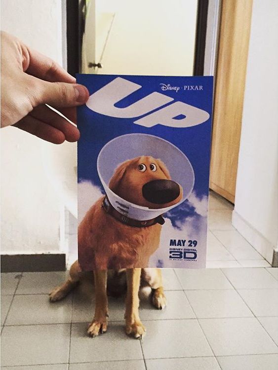 Hilarious Instagram movie poster mash-ups