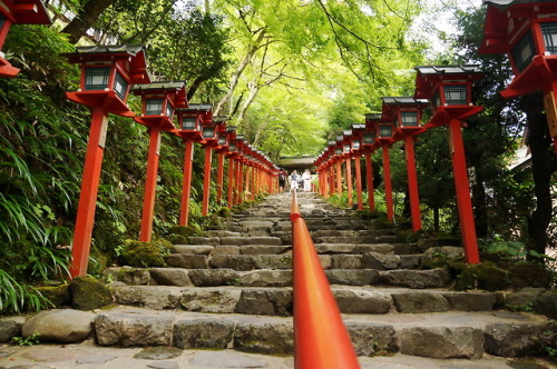 異世界の旅へ。美しかったです。2018.9