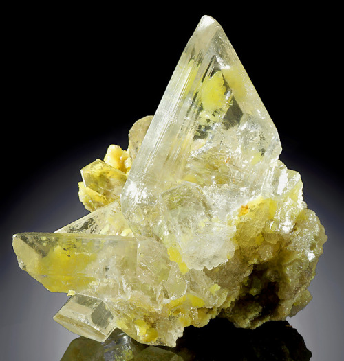 mineralists:Rare specimen of Native Sulfur inclusions inside and atop Gyspum crystalsGaurdak Sulfur 