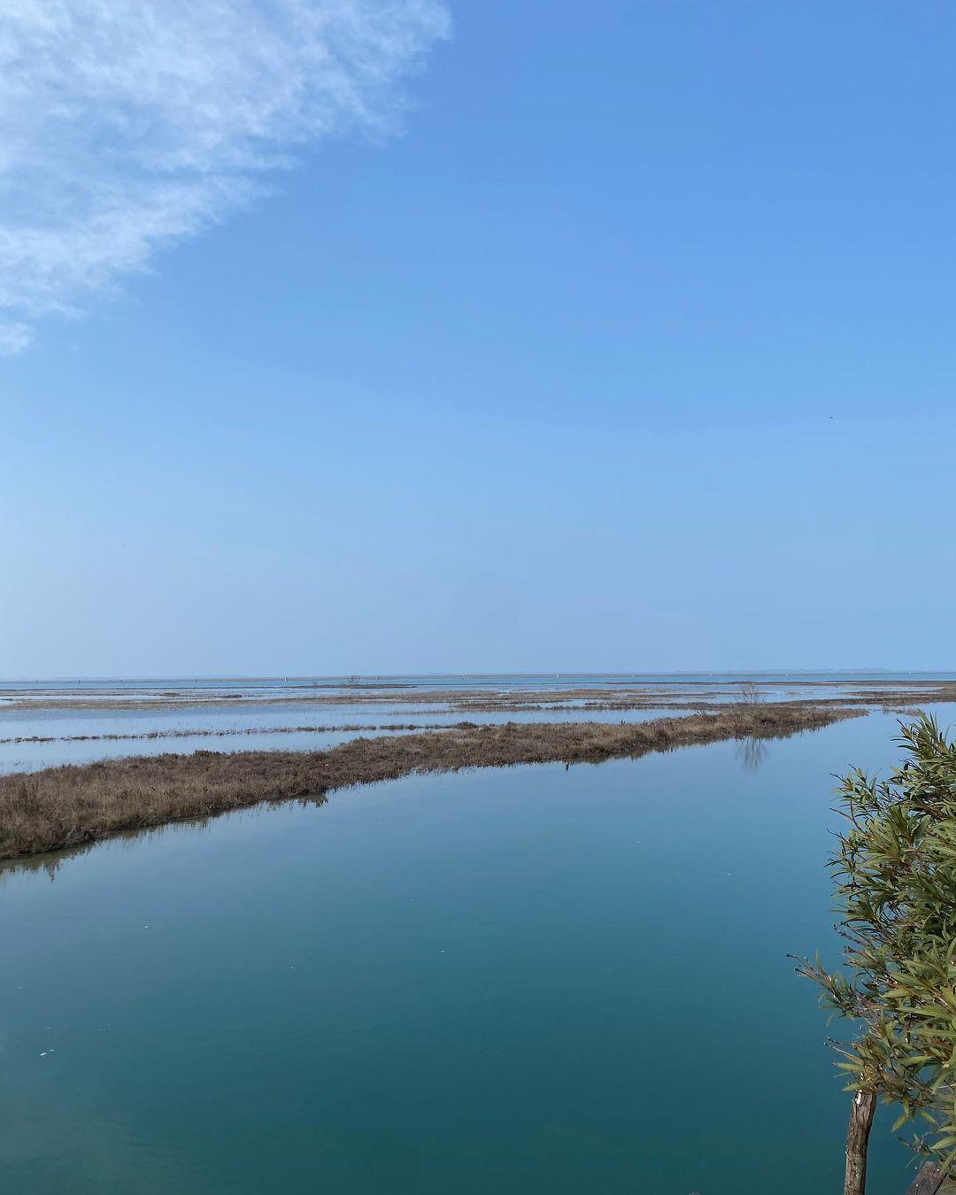 Venice lagoon.
#beauty #Venice #lagoon #picoftheday #birthdaymate #party #lagoonside #50more
https://www.instagram.com/p/CprximLNv5K/?igshid=NGJjMDIxMWI=